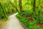 The Routeburn Track, Fiordland National Park, South Island, New Zealand Art Print